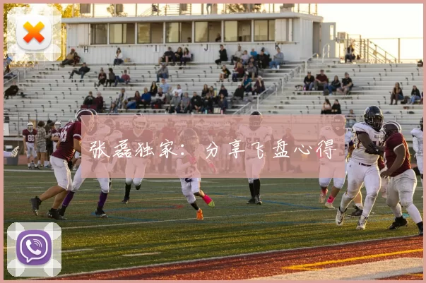 张磊独家：分享飞盘心得