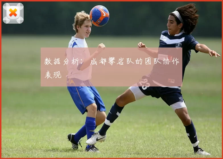 数据分析：成都攀岩队的团队协作表现