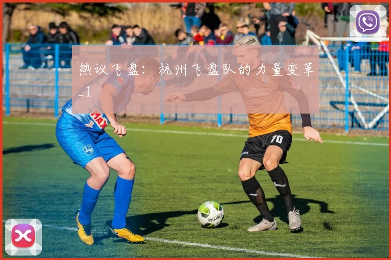 热议飞盘：杭州飞盘队的力量变革_1