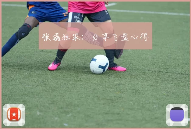 张磊独家：分享飞盘心得